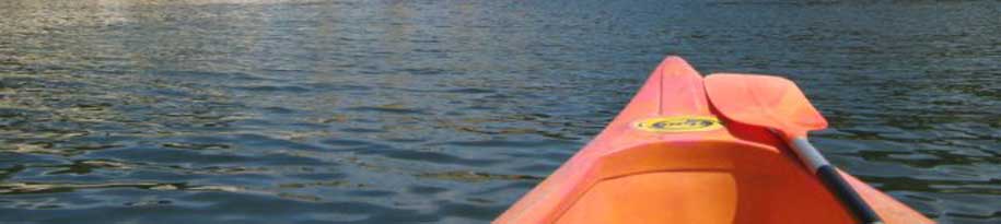Gouds water